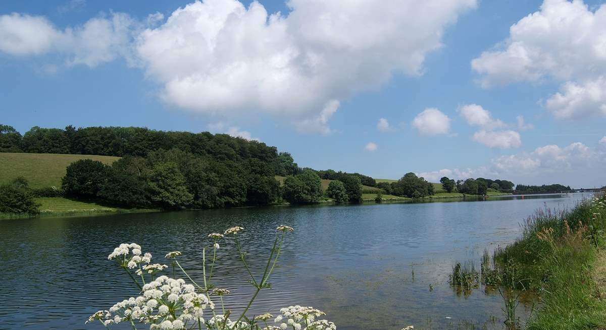 Head up to the Quantock Hills and stroll around the gorgeous Headford Reservoir.