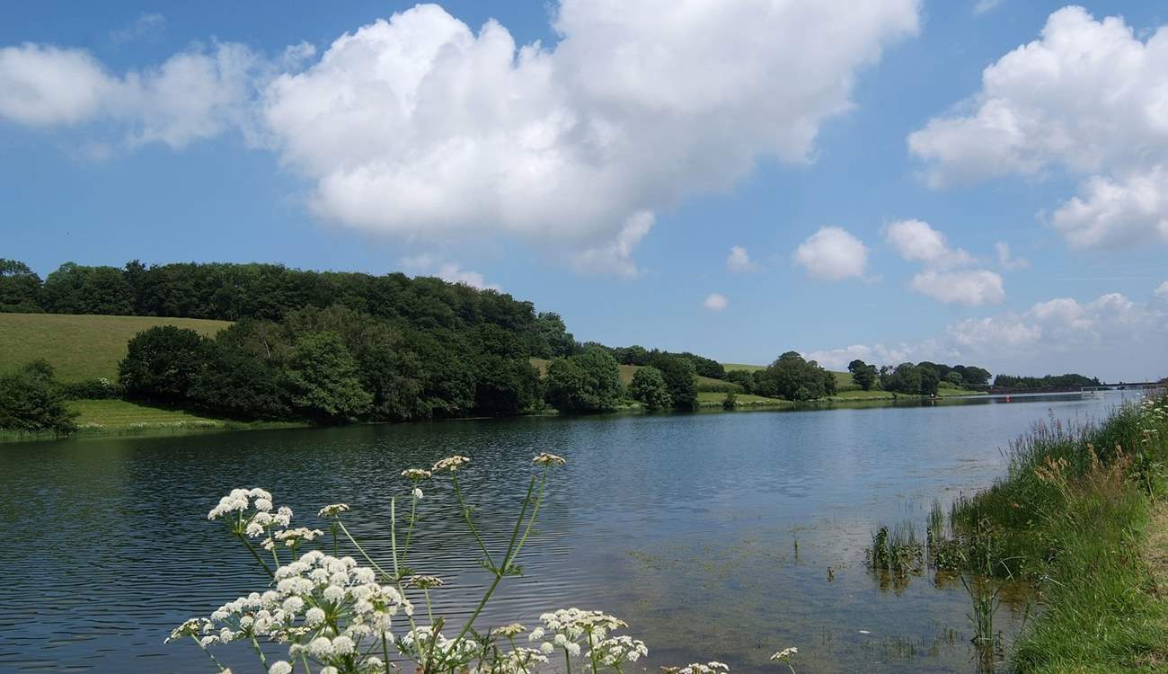 Head up to the Quantock Hills and stroll around the gorgeous Headford Reservoir.
