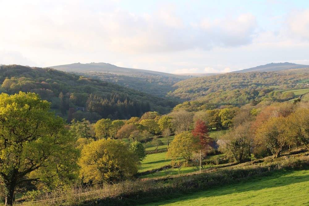 Uninterrupted beauty from every angle.