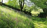 Stunning views out over the meadow. - Thumbnail Image