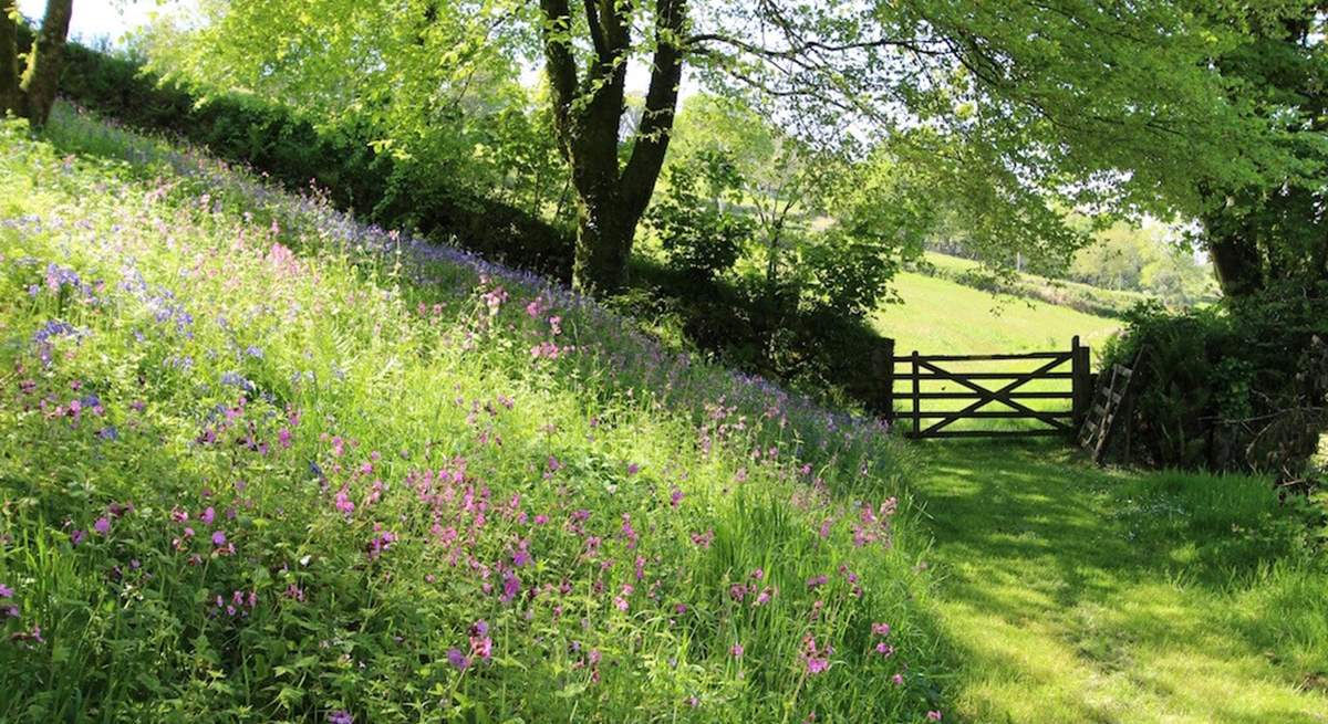 Stunning views out over the meadow.