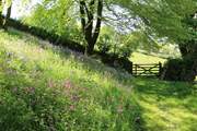 Stunning views out over the meadow.