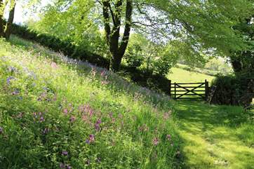 Stunning views out over the meadow.