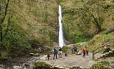 Dramatic Lydford Gorge. - Thumbnail Image