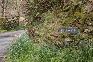 The main entrance to Walkham Valley Cottage, Holewell Farm.