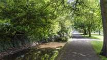 Pretty Tavistock has some lovely riverside walks.