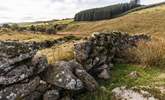 The wilds of Dartmoor, simply stunning. - Thumbnail Image