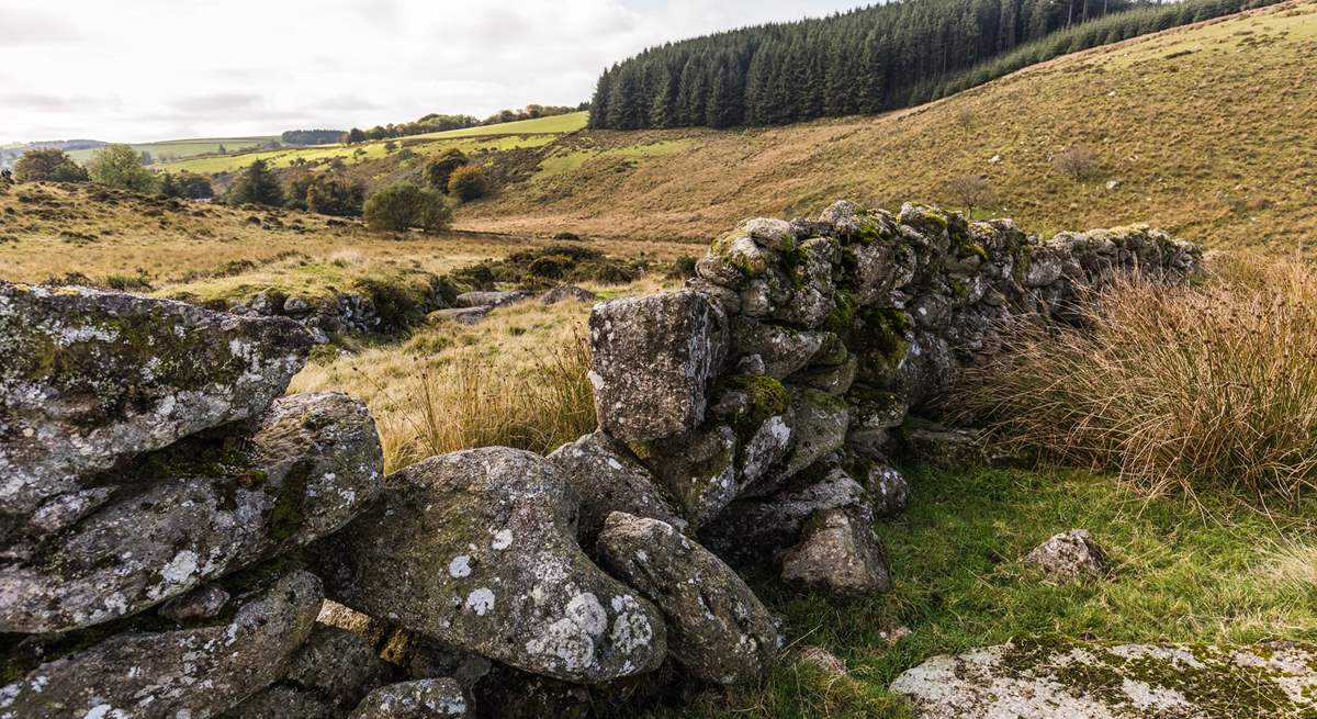 The wilds of Dartmoor, simply stunning.