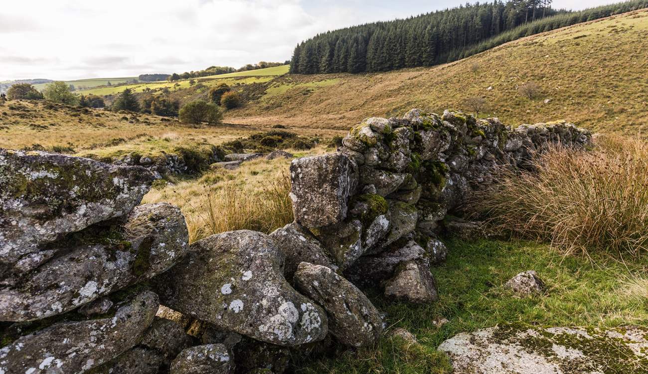 The wilds of Dartmoor, simply stunning.