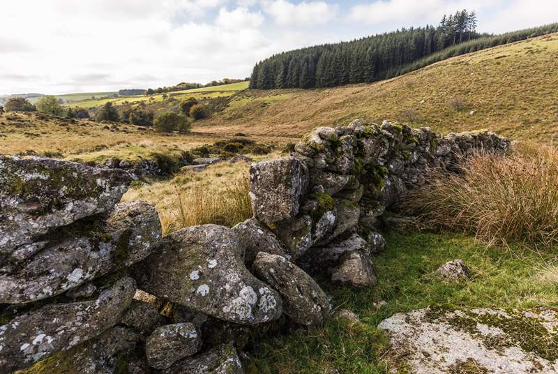 The wilds of Dartmoor, simply stunning.