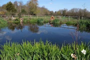 The lovely pond at the entrance to the farm. The Lodge is further down the track.