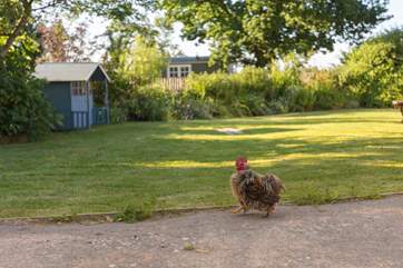 One of the other residents! They are sure to come and visit.