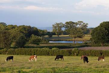 This is the setting for the Lodge. These fields stretch out to the far side of it.