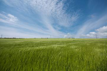 Acres of space to enjoy on Borah Farm.