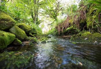 This little stream runs alongside the pretty country lane leading to Georgia Bridge.