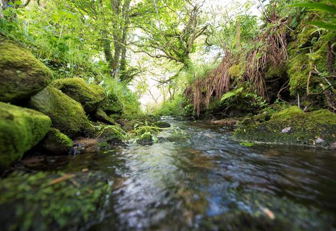 This little stream runs alongside the pretty country lane leading to Georgia Bridge.