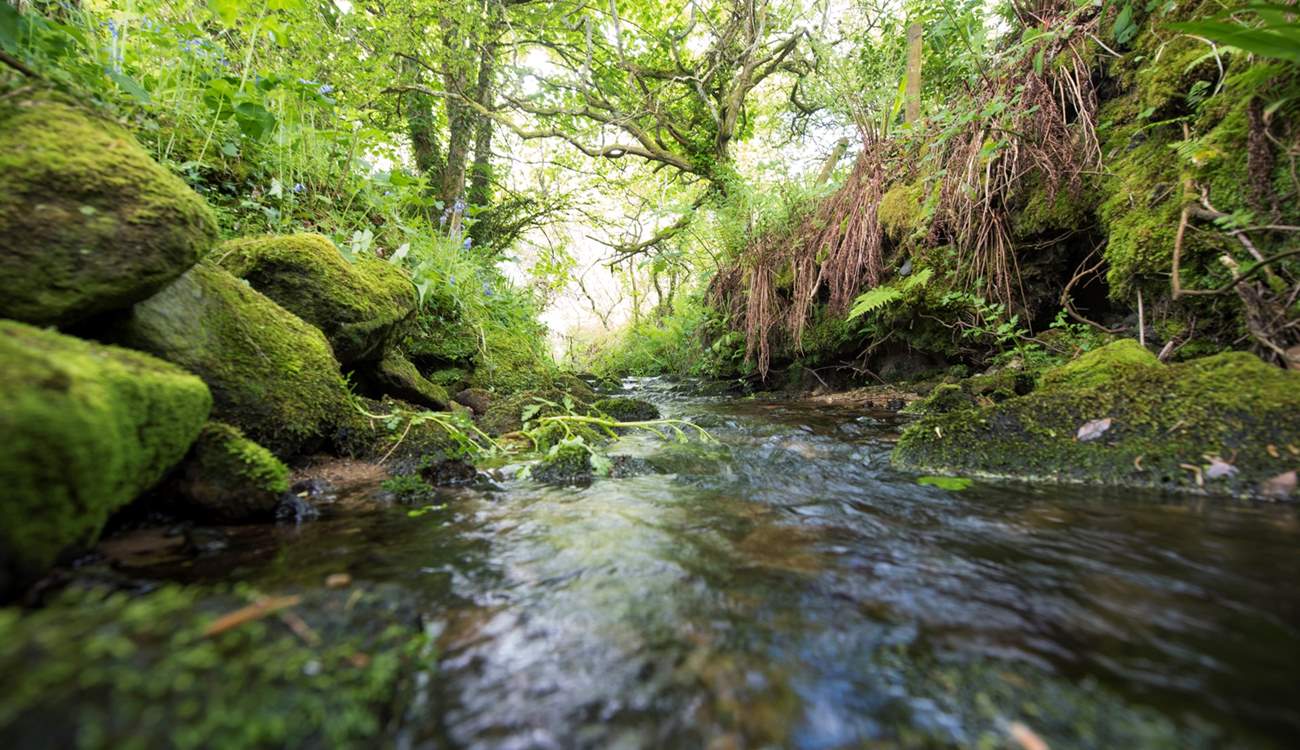 This little stream runs alongside the pretty country lane leading to Georgia Bridge.