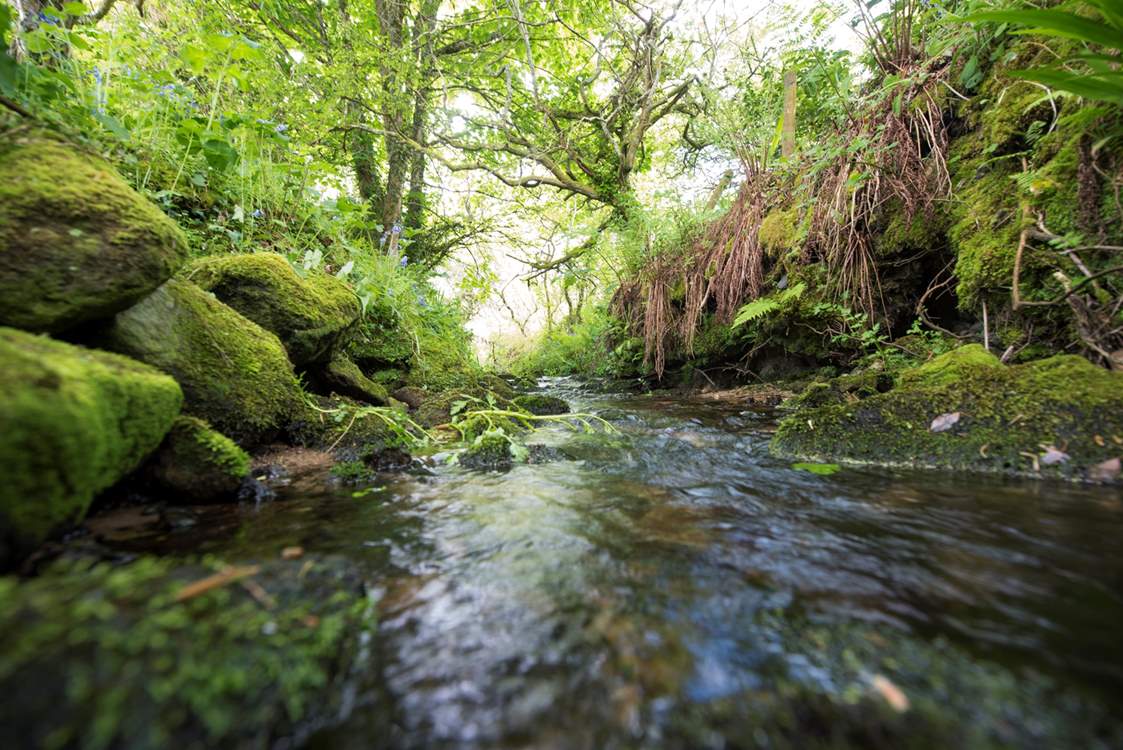 This little stream runs alongside the pretty country lane leading to Georgia Bridge.