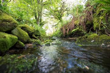 This little stream runs alongside the pretty country lane leading to Georgia Bridge.