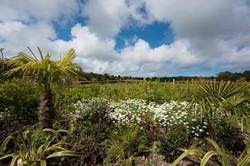 With a lovely view over the meadow beyond.