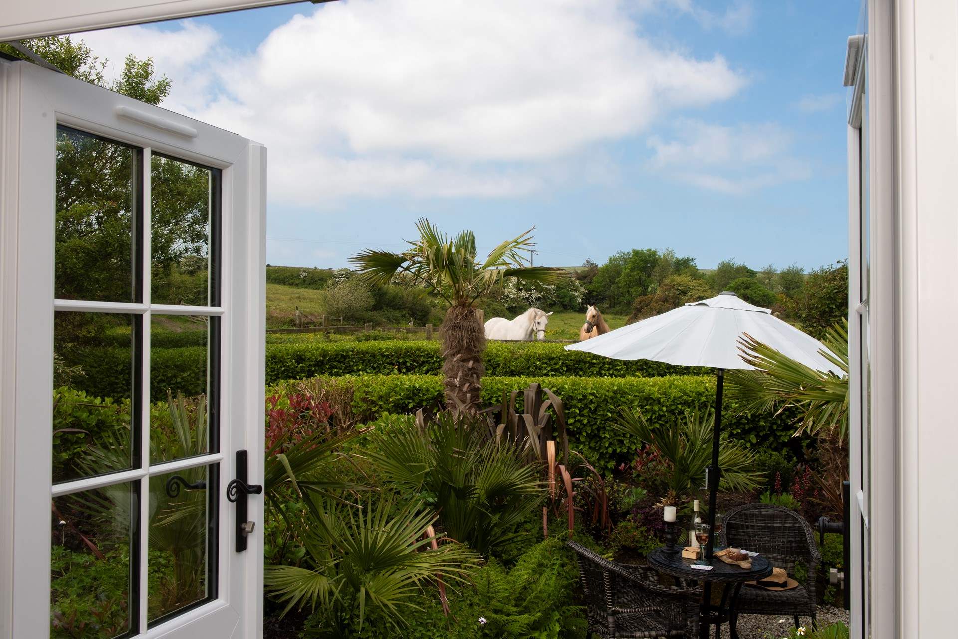 Say hello to your friendly neighbours!