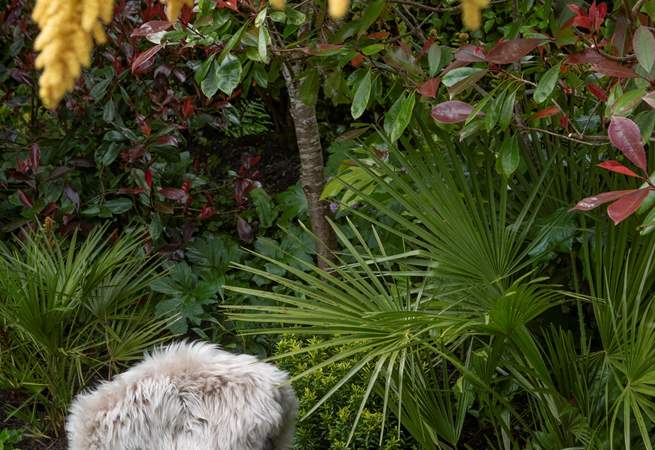 The loveliest spot for coffee and cake. 