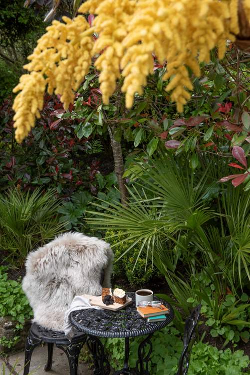 The loveliest spot for coffee and cake.