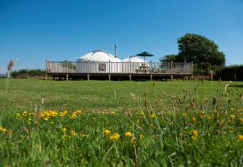 Rosewood Yurt sits proudly on its huge deck overlooking open countryside.