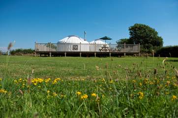 Rosewood Yurt sits proudly on its huge deck overlooking open countryside.