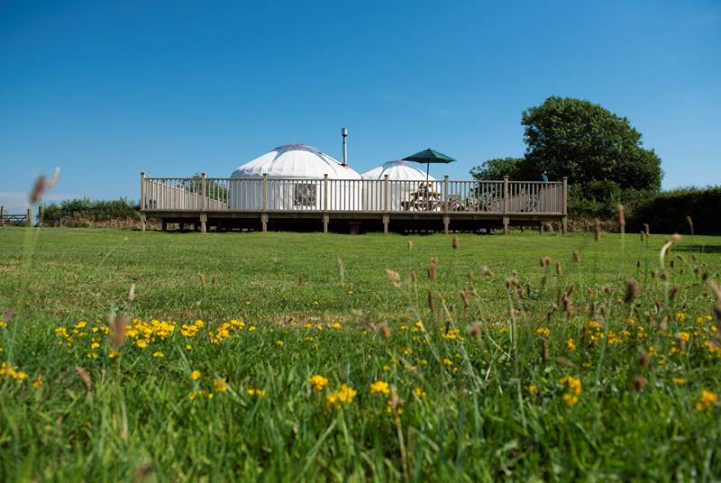 Rosewood Yurt sits proudly on its huge deck overlooking open countryside.