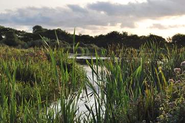 If you like messing about on the water take a trip to Tamar Lakes and try your hand at windsurfing, kayaking or simply have some fun in the pedalos. This is a great place for a walk too.