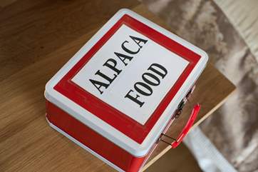 And you will even have some food to feed the Alpacas!