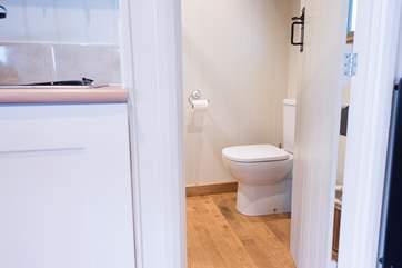 Proper flushing toilet and wash-basin.