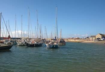 Why not venture a little further to the sheltered harbour at Lyme Regis on the east Devon/Dorset border.