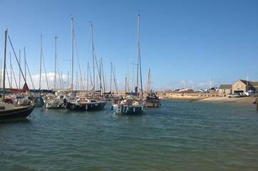 Why not venture a little further to the sheltered harbour at Lyme Regis on the east Devon/Dorset border.