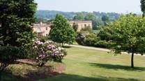 Killerton Estate boasts lovely walks, gardens, a café, a restaurant, and a shop.