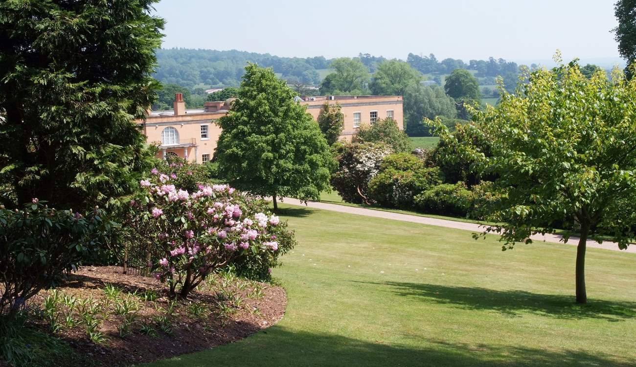 Killerton Estate boasts lovely walks, gardens, a café, a restaurant, and a shop.