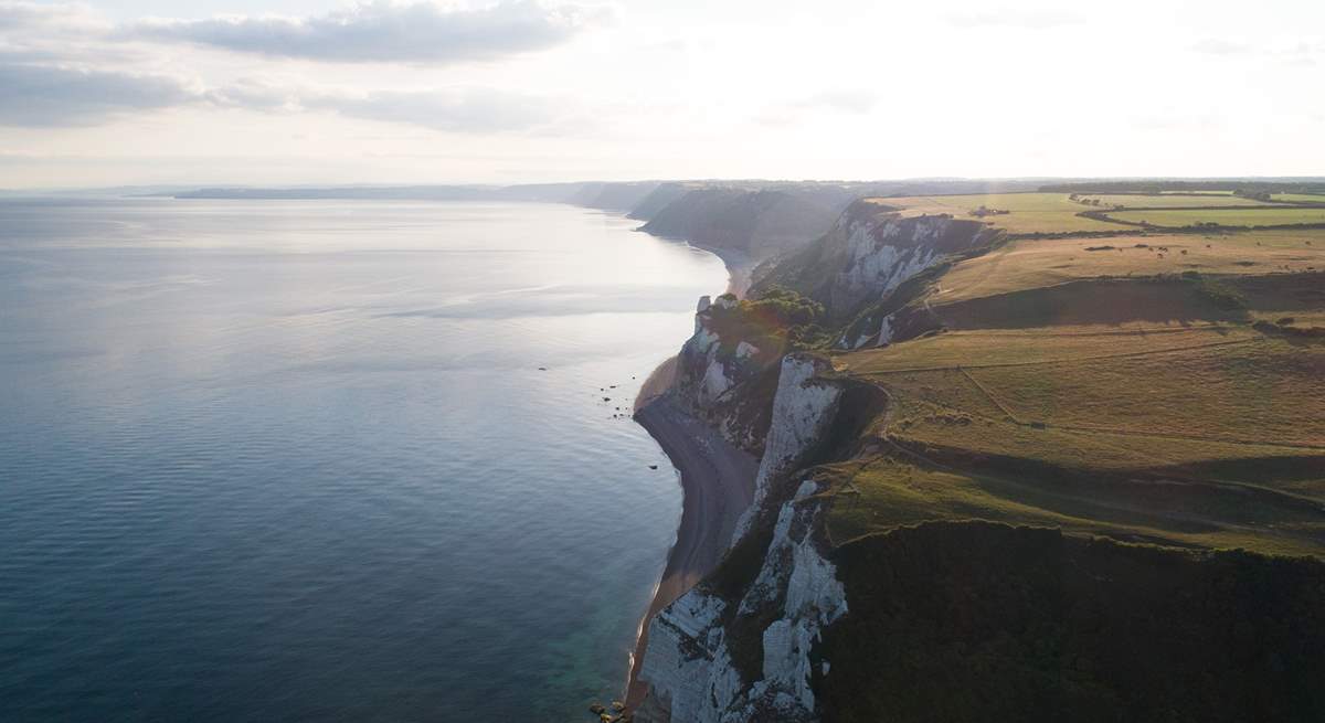 The cliffs between Beer and Branscombe - a great section of the South West Coast Path.