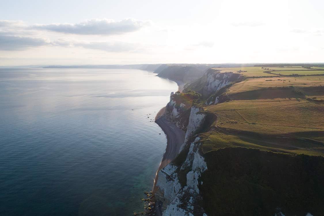 The cliffs between Beer and Branscombe - a great section of the South West Coast Path.