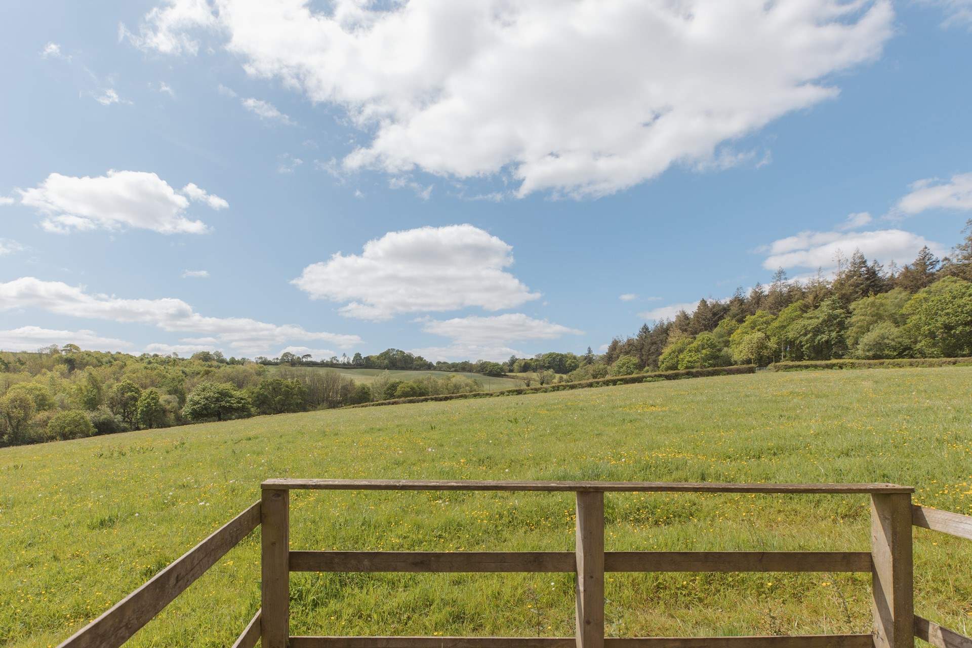 Blissful green pastures surround this sweet spot. 