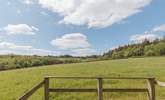 Blissful green pastures surround this sweet spot.  - Thumbnail Image