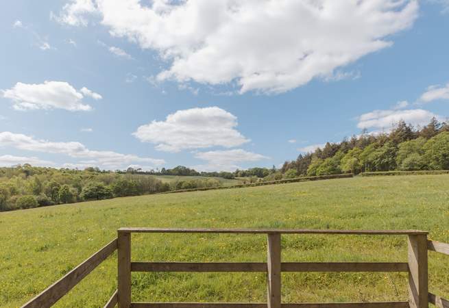 Blissful green pastures surround this sweet spot. 