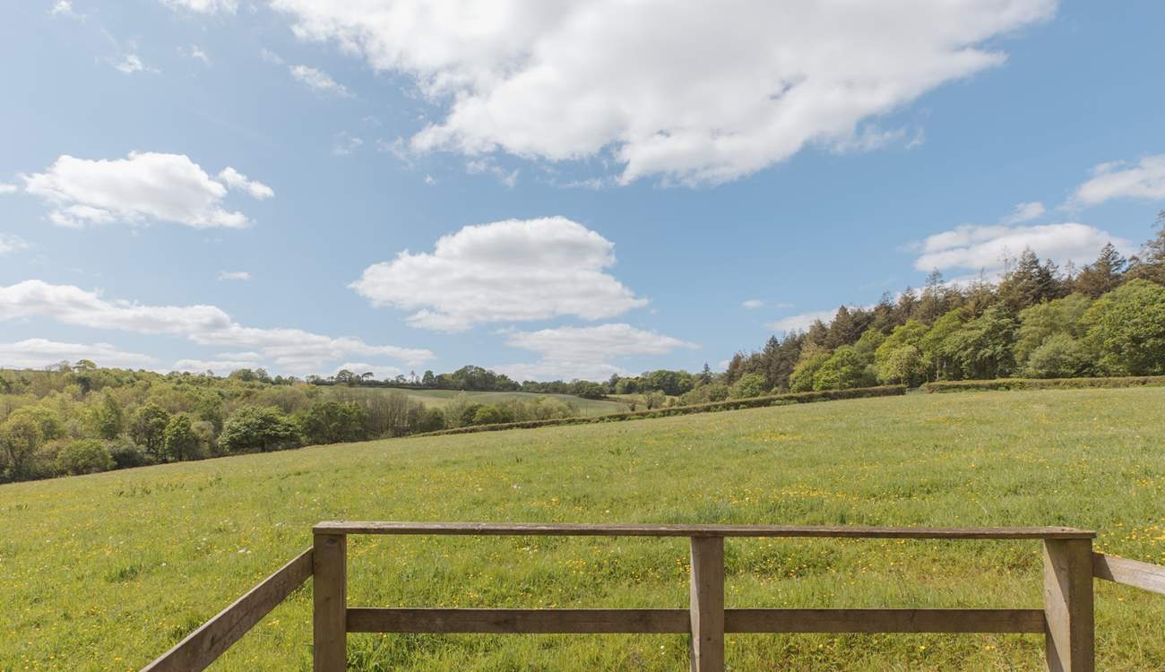 Blissful green pastures surround this sweet spot. 