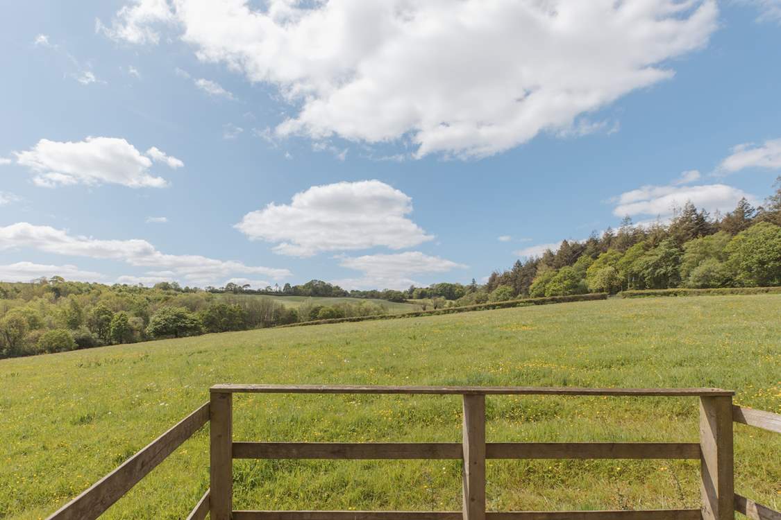 Blissful green pastures surround this sweet spot.