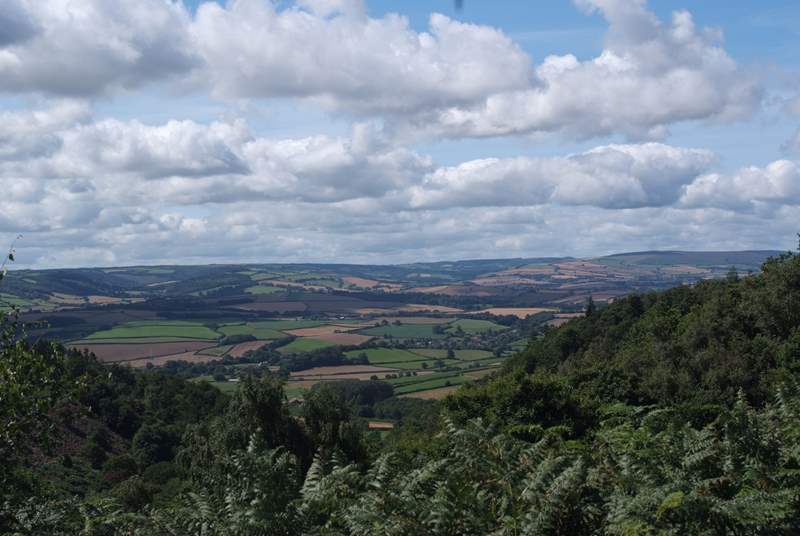 This view is across the Vale of Taunton towards Exmoor, from the top of the Quantock Hills.