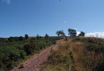 The hills are criss-crossed with ancient pathways such as the Coleridge Way.