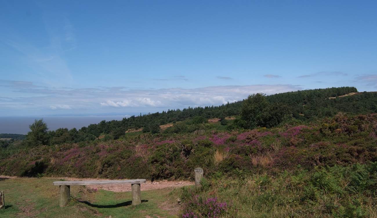 This is the view from the top of the Quantock Hills, a 9.5 thousand acre area of Outstanding Natural Beauty