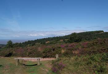 This is the view from the top of the Quantock Hills, a 9.5 thousand acre area of Outstanding Natural Beauty