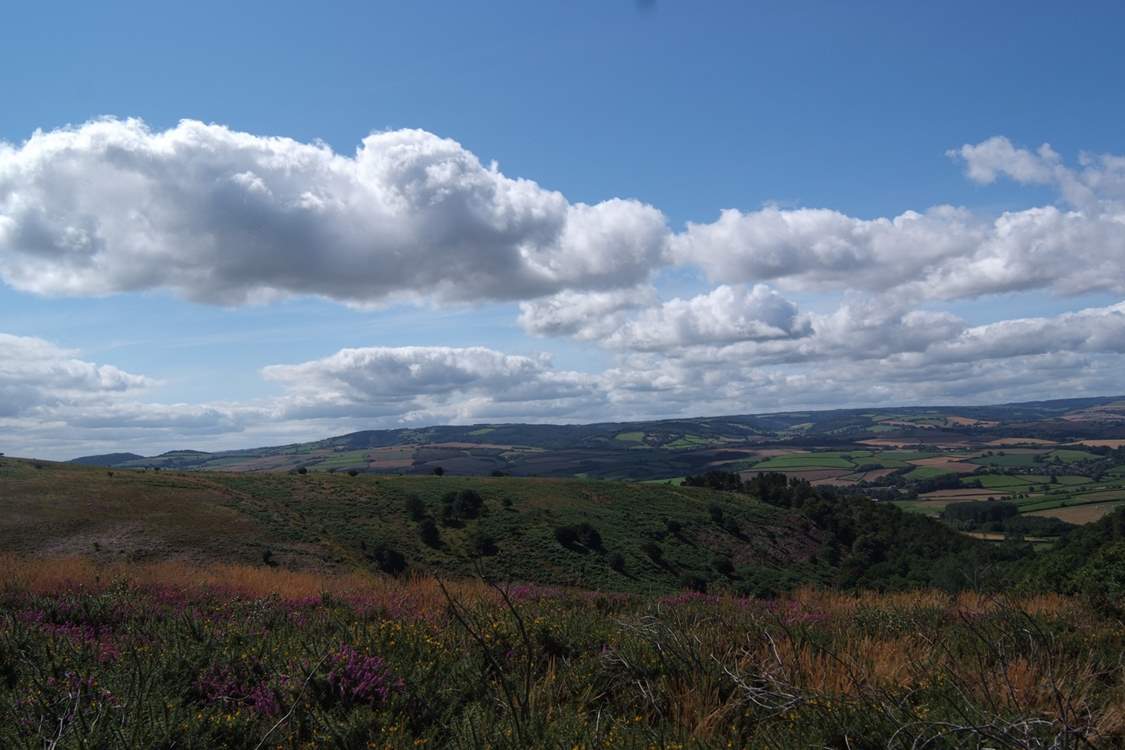 This lovely view is from the top of the Quantock Hills looking far across the Vale of Taunton to Exmoor.