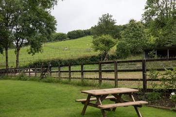 Sheep and horses in the fields beyond the barns.